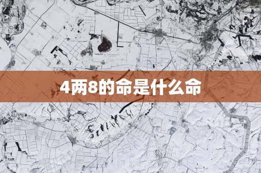4两8的命是什么命