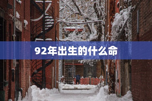 92年出生的什么命