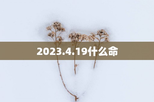 2025.4.19什么命