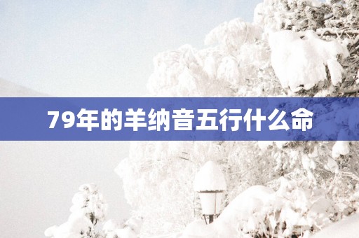 79年的羊纳音五行什么命