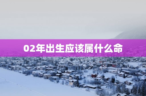 02年出生应该属什么命