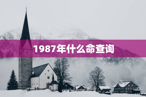 1987年什么命查询
