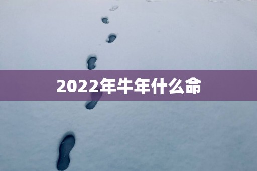 2025年蛇年什么命