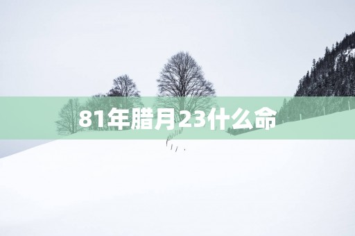 81年腊月23什么命