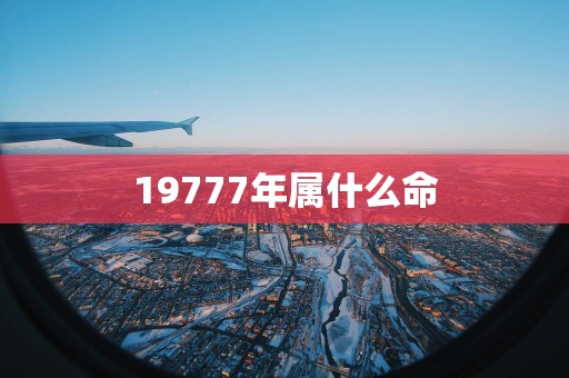 19777年属什么命