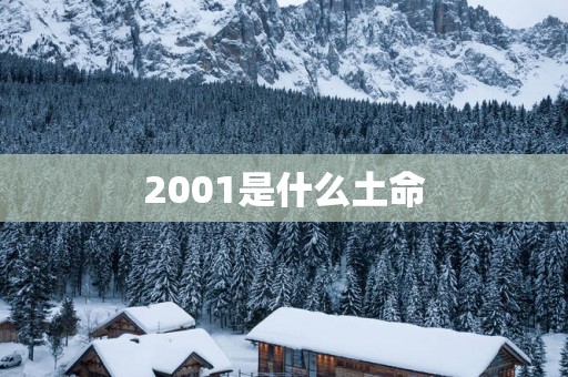 2001是什么土命