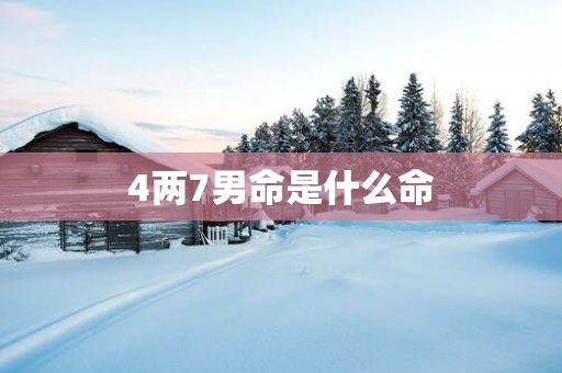 4两7男命是什么命