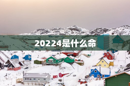 20254是什么命