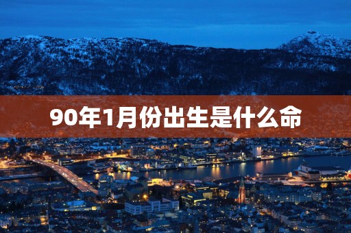 90年1月份出生是什么命