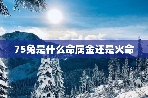 75兔是什么命属金还是火命