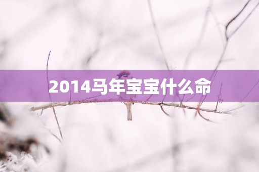 2014马年宝宝什么命