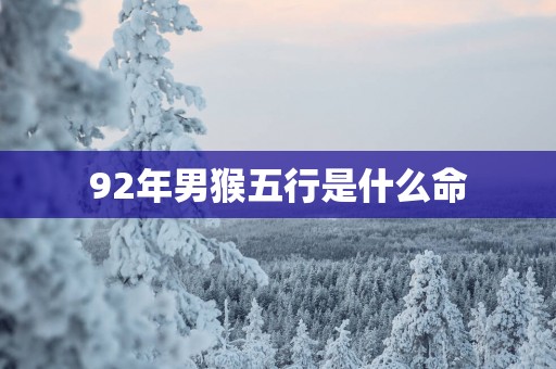 92年男猴五行是什么命
