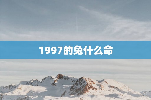 1997的兔什么命