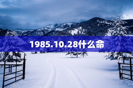 1985.10.28什么命
