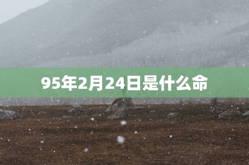 95年2月24日是什么命