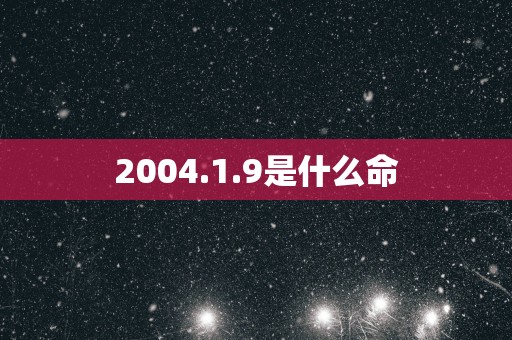 2004.1.9是什么命