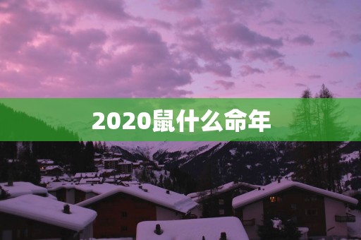 2025鼠什么命年