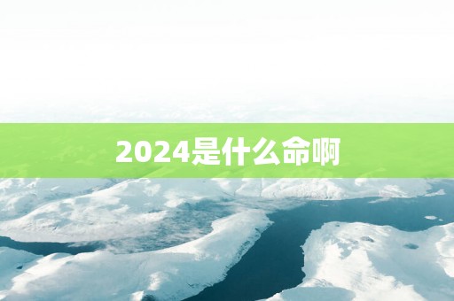 2025是什么命啊