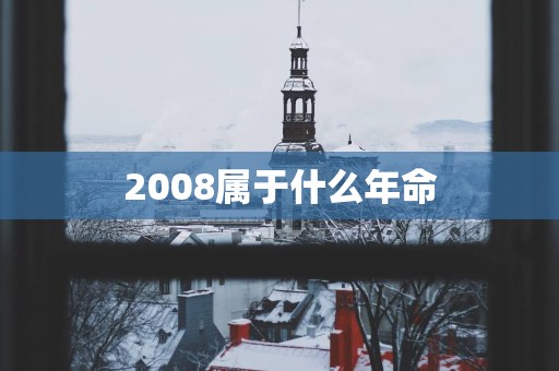 2008属于什么年命