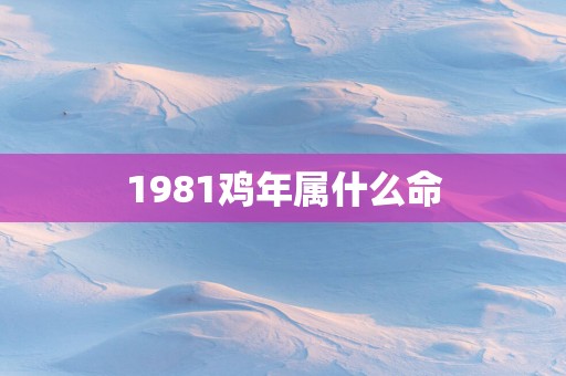 1981鸡年属什么命