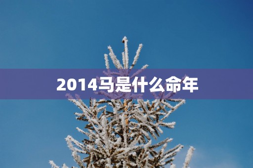 2014马是什么命年