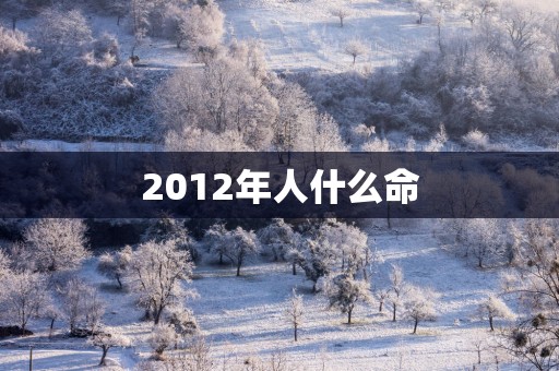 2012年人什么命