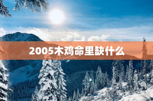 2005木鸡命里缺什么