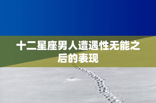 十二星座男人遭遇性无能之后的表现
