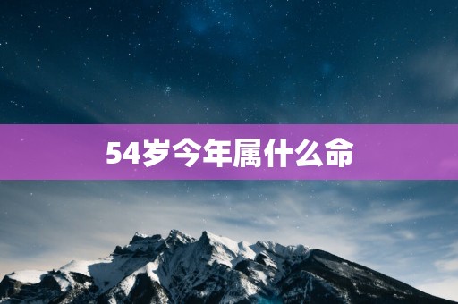54岁今年属什么命