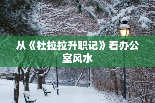 从《杜拉拉升职记》看办公室风水