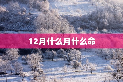 12月什么月什么命