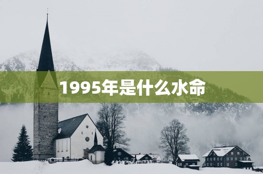 1995年是什么水命