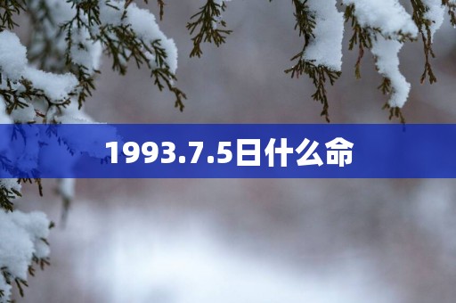 1993.7.5日什么命
