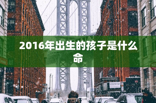 2016年出生的孩子是什么命
