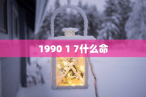 1990 1 7什么命