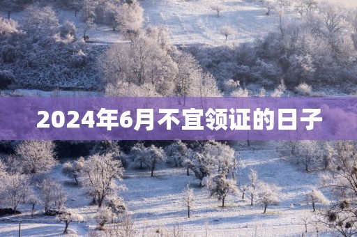 2025年6月不宜领证的日子