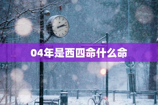 04年是西四命什么命