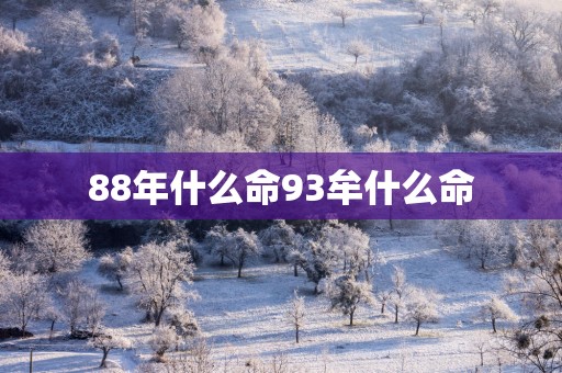 88年什么命93牟什么命