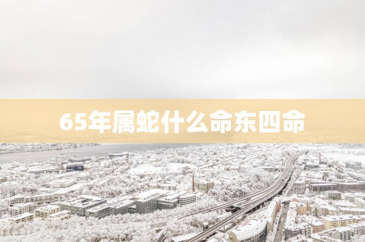 65年属蛇什么命东四命