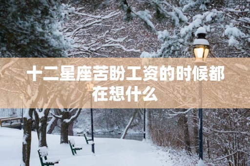 十二星座苦盼工资的时候都在想什么