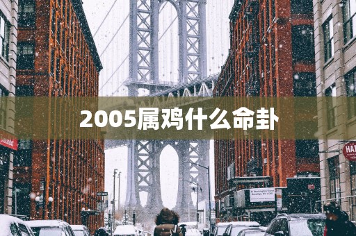 2005属鸡什么命卦