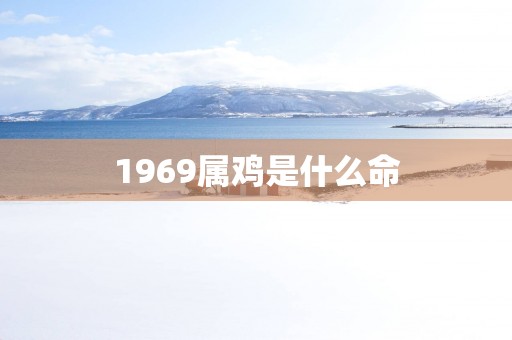 1969属鸡是什么命