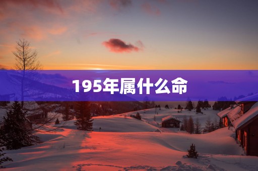 195年属什么命