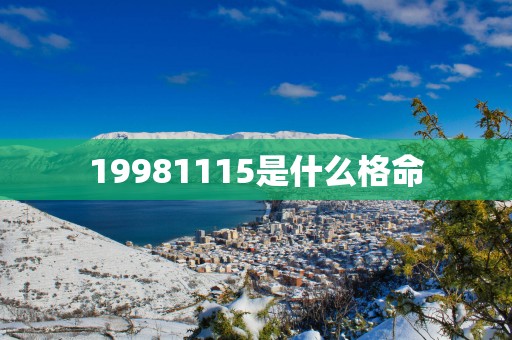 19981115是什么格命