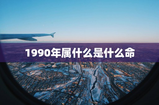 1990年属什么是什么命