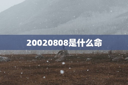20020808是什么命