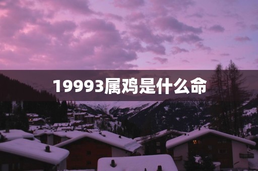 19993属鸡是什么命