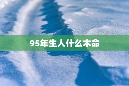 95年生人什么木命