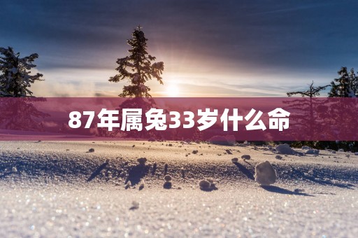 87年属兔33岁什么命