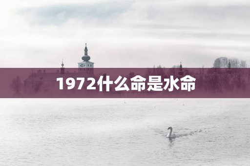1972什么命是水命